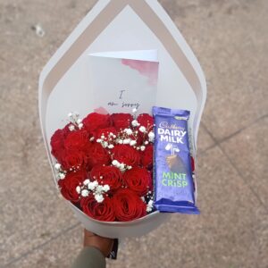 APPOLY PACKAGE